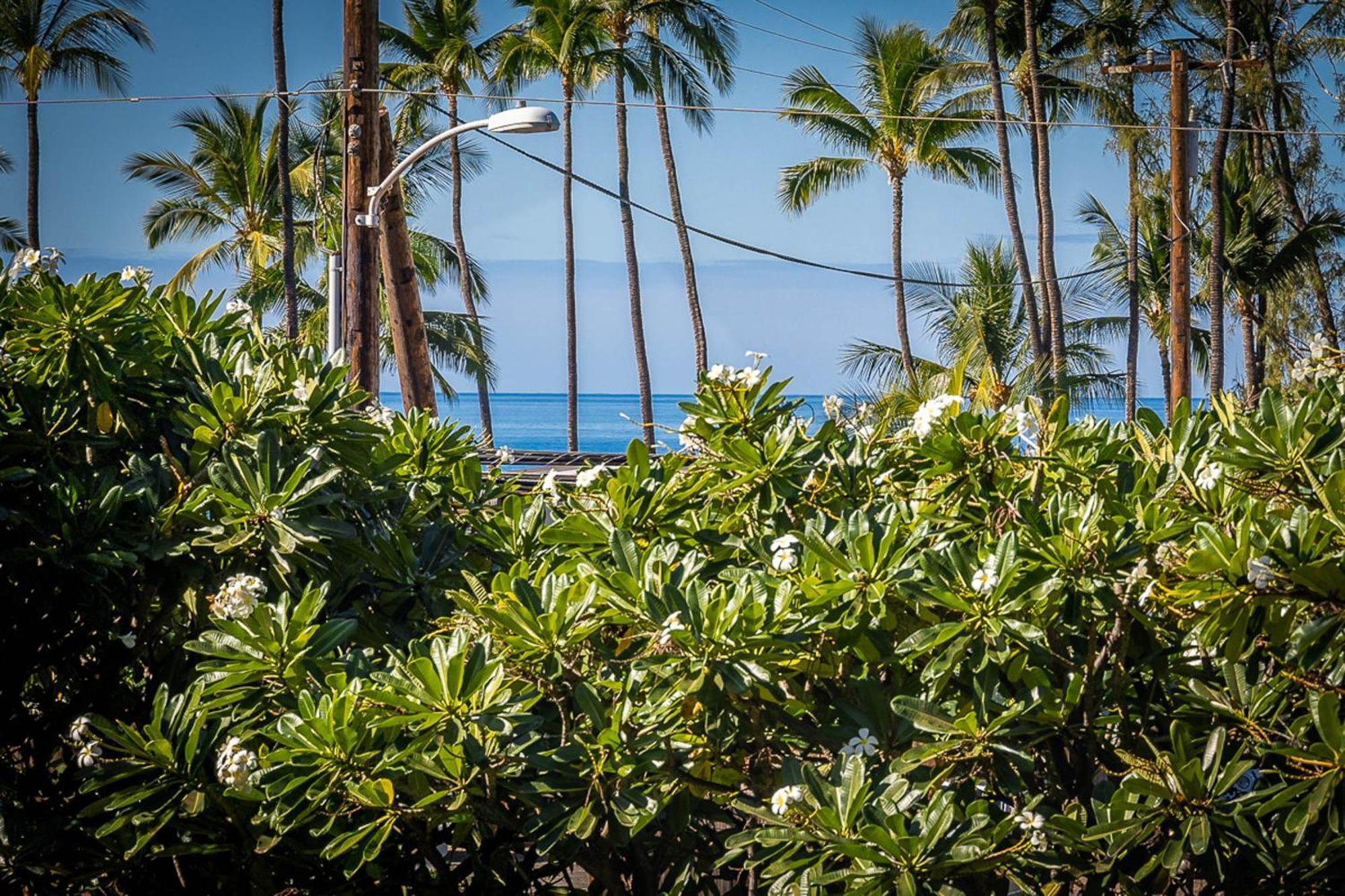 Maui Vista 1210 Apartment Kihei Ngoại thất bức ảnh